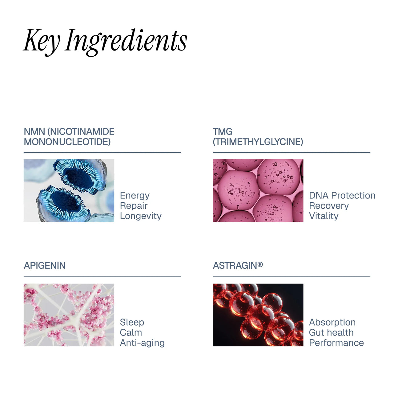 SHINKAI™ NAD+ Longevity Capsules