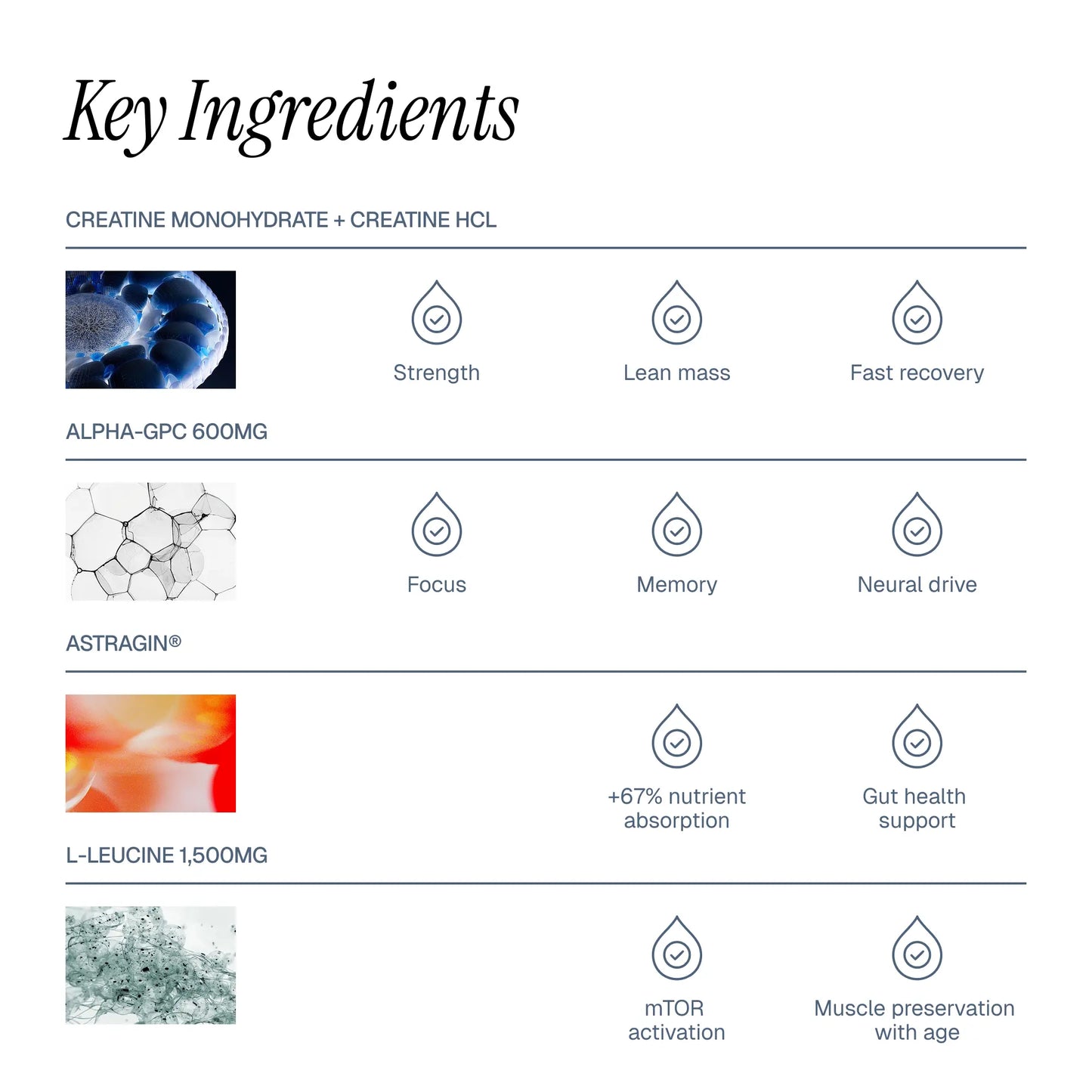 Magnesium + Electrolytes