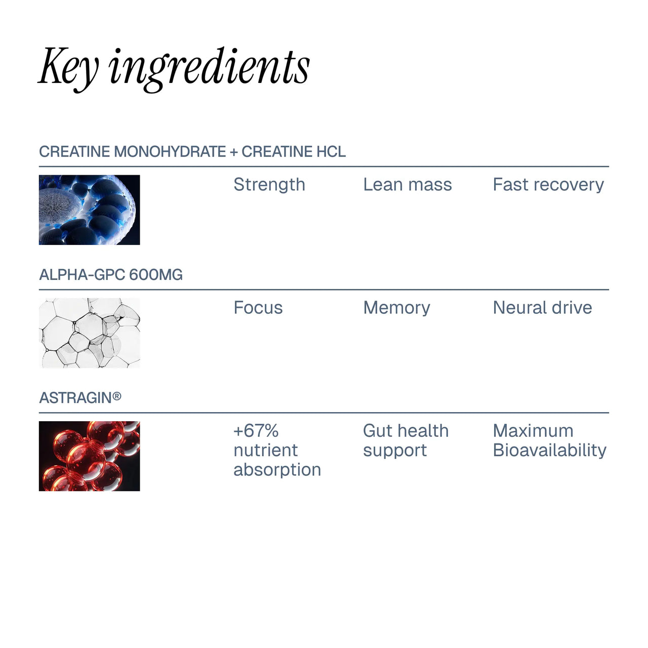 MIKRON™ Dual-Kinetic Creatine Gummies