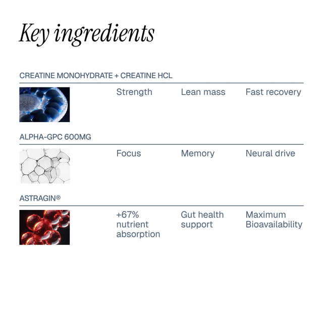 MIKRON™ Dual-Kinetic Creatine Gummies
