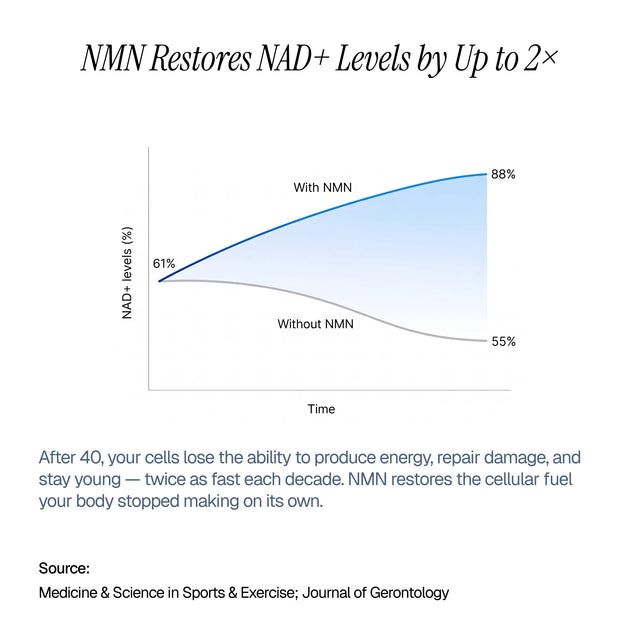 SHINKAI™ NAD+ Longevity Capsules
